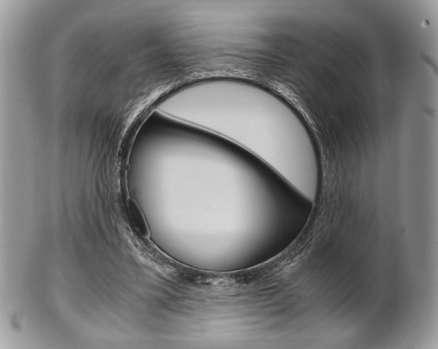 X0000101410395200807071011