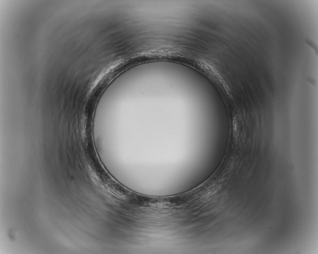 X0000101410396200807071011