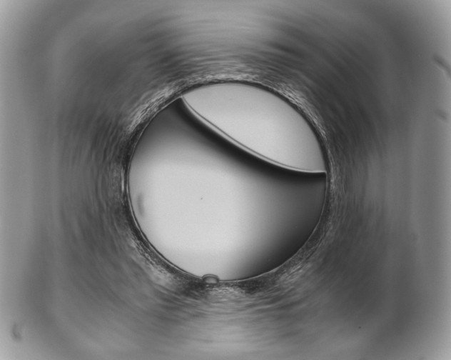 X0000101410397200807071011