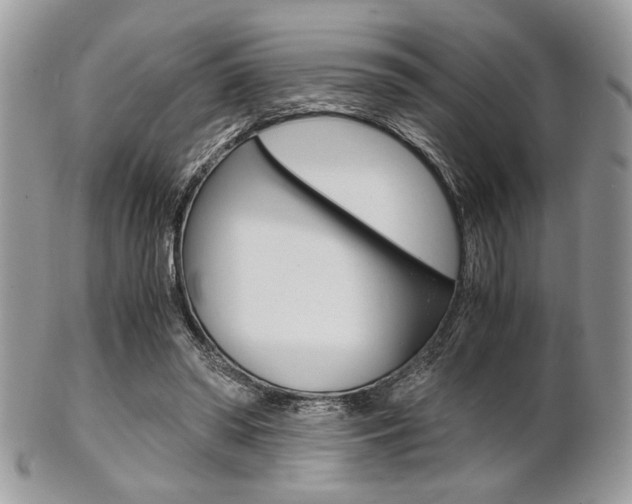 X0000101410398200807071011