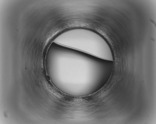 X0000101410399200807071011