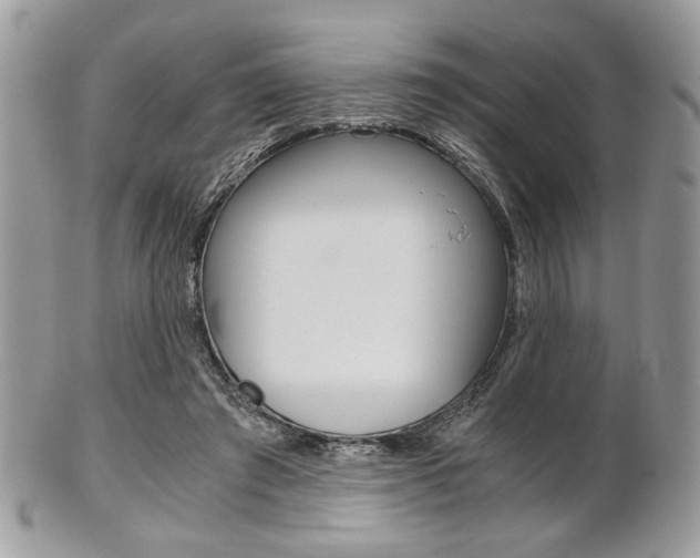 X0000101410401200807071011