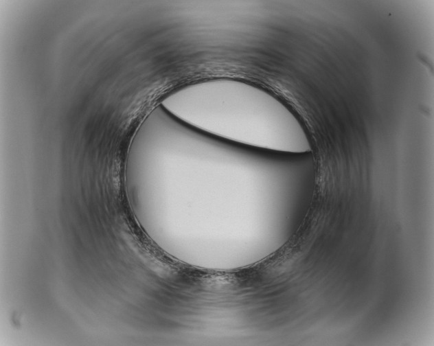 X0000101410402200807071011