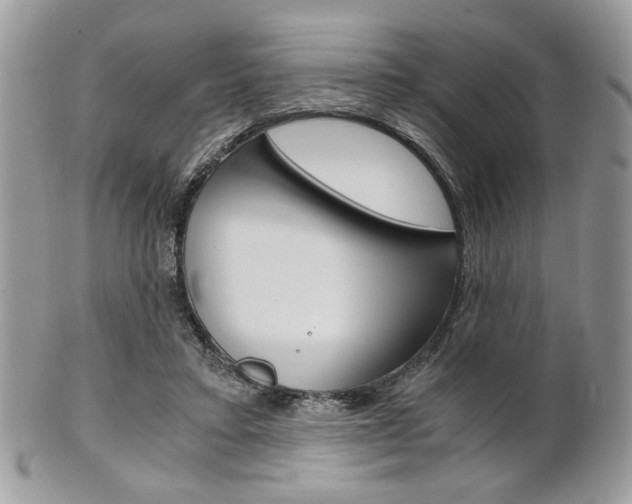 X0000101410403200807071011