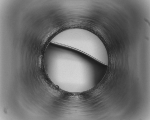 X0000101410404200807071011