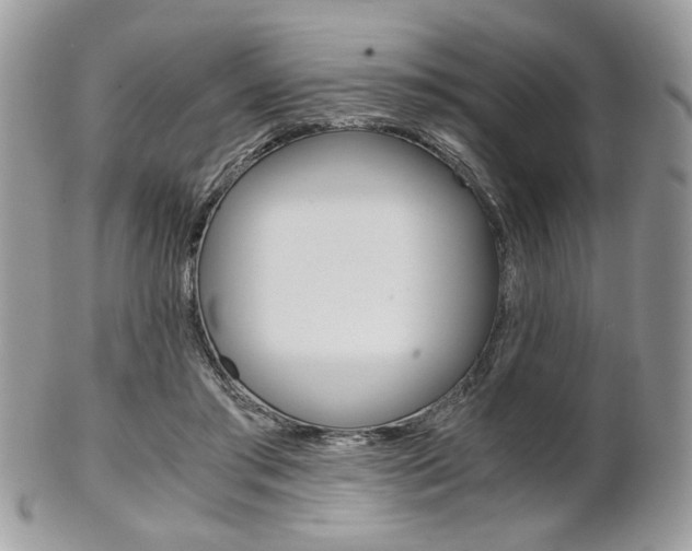 X0000101410405200807071011