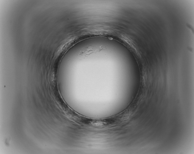 X0000101410407200807071011