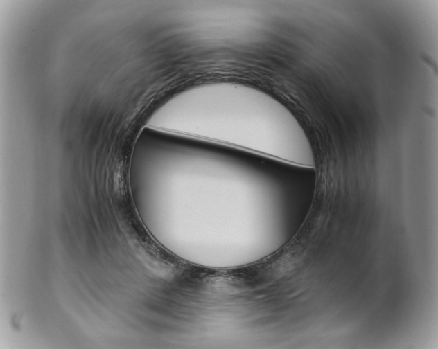 X0000101410408200807071011
