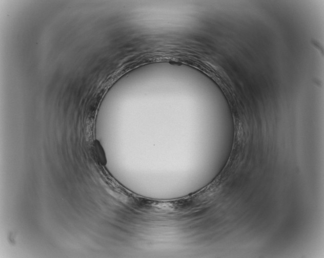 X0000101410409200807071011