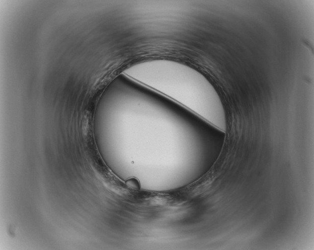 X0000101410412200807071011