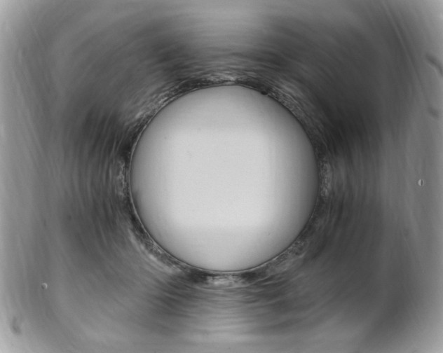 X0000101410414200807071011