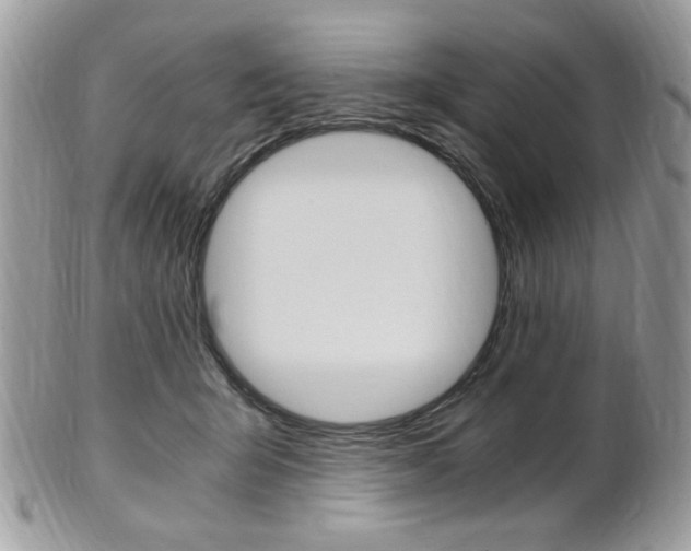 X0000101410415200807071011