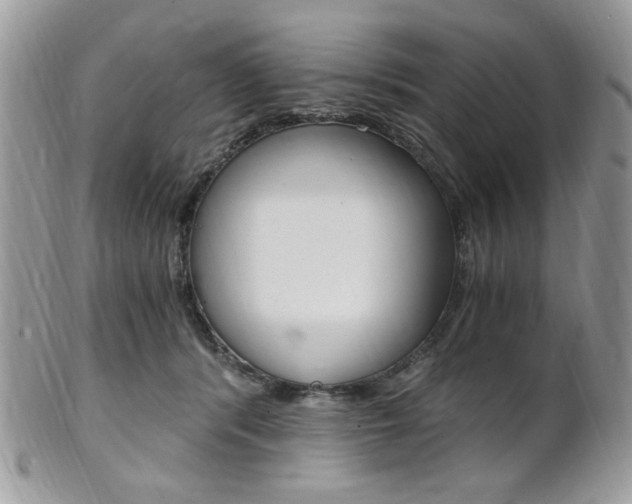 X0000101410416200807071011