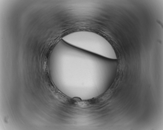 X0000101410417200807071011