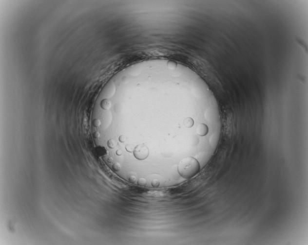 X0000101410418200807071011