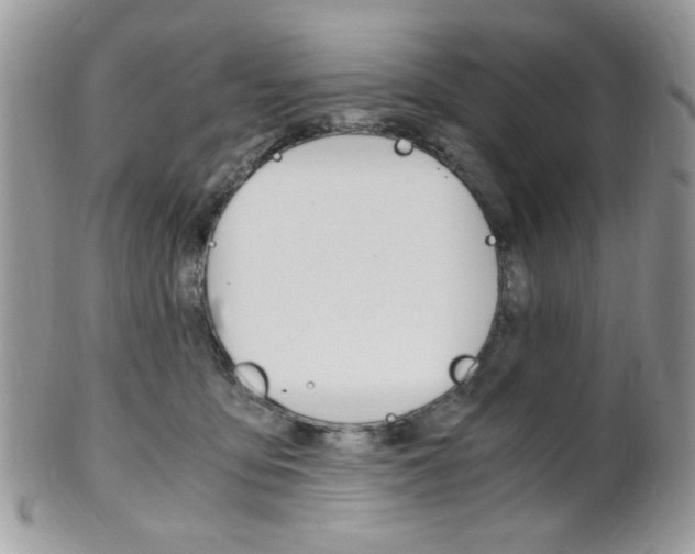 X0000101410419200807071011