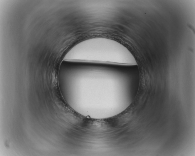 X0000101410420200807071011