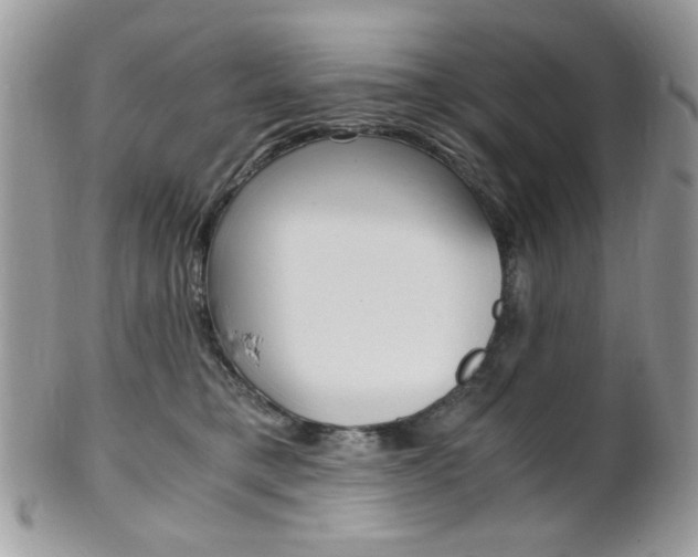 X0000101410421200807071011