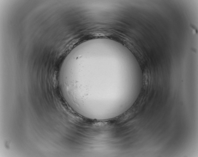 X0000101410422200807071011