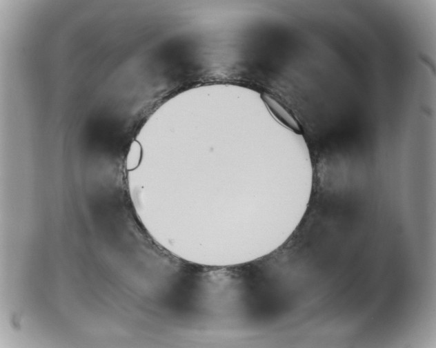 X0000101410423200807071011
