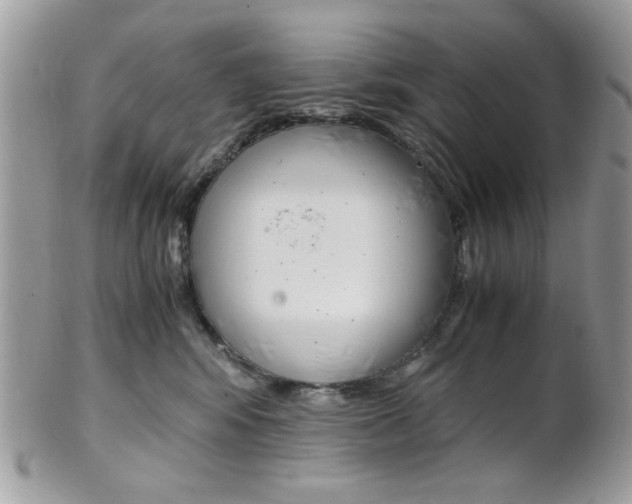 X0000101410424200807071011