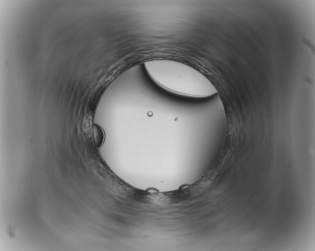 X0000101410425200807071011