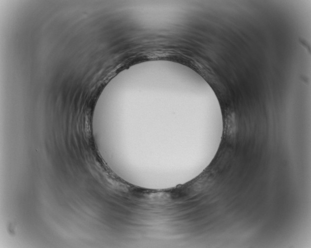 X0000101410426200807071011