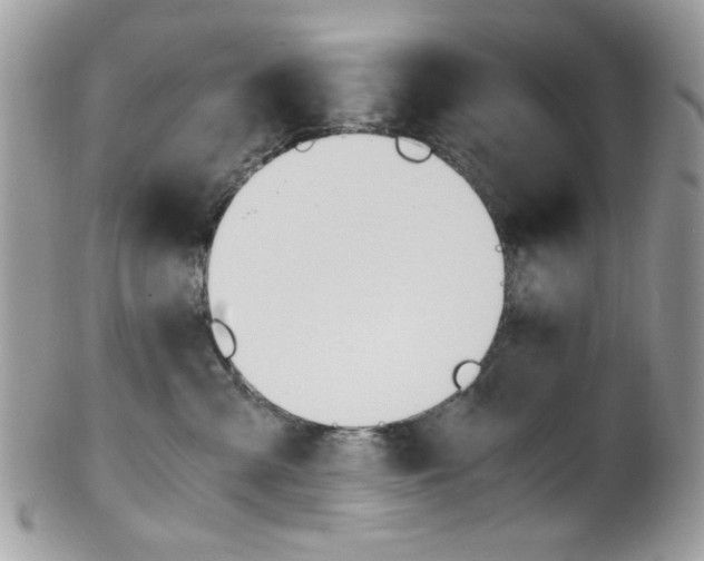 X0000101410427200807071011
