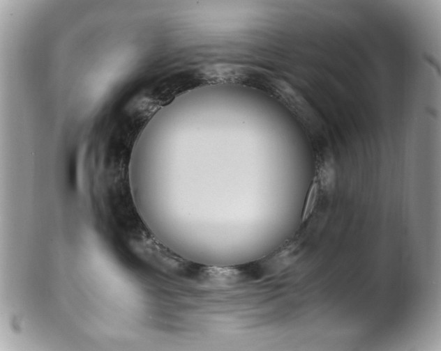 X0000101410429200807071011