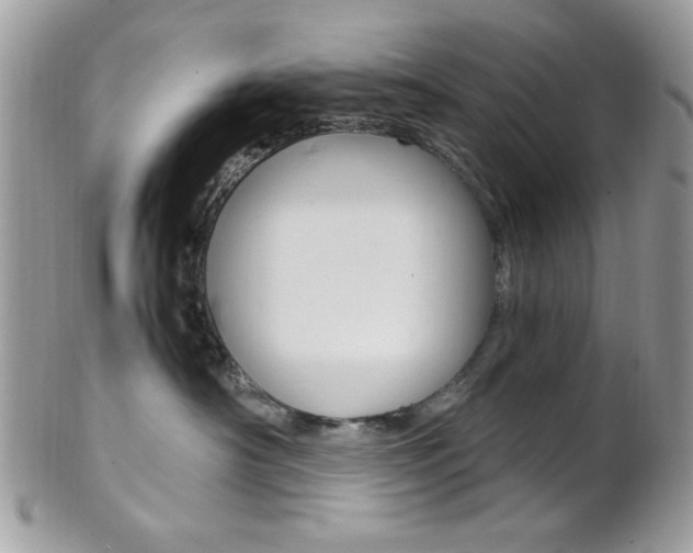 X0000101410430200807071011