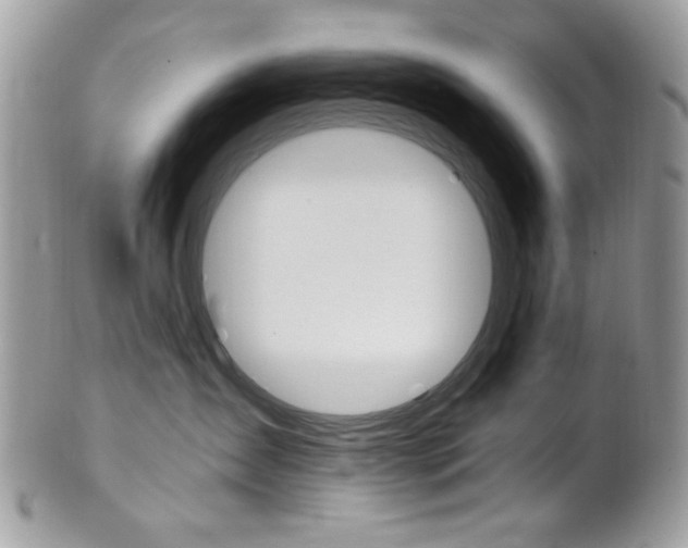 X0000101410431200807071011