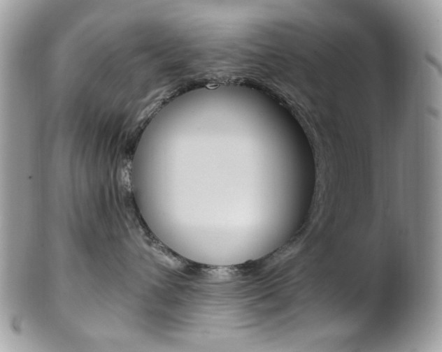X0000101410432200807071011