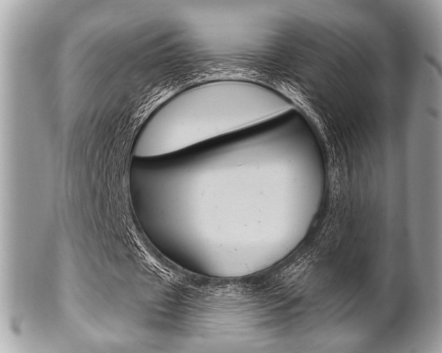 X0000101410433200807071010