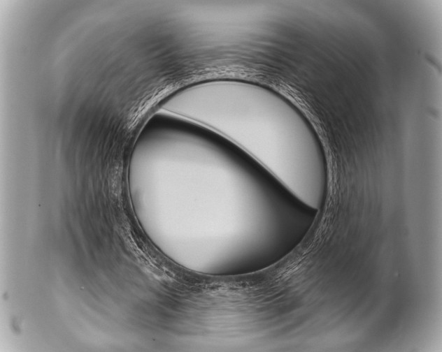 X0000101410434200807071010