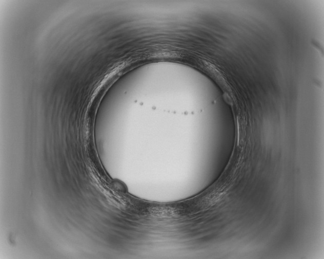 X0000101410435200807071010