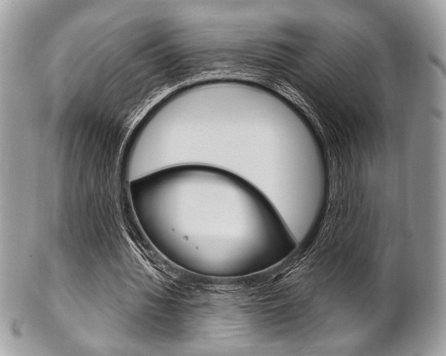 X0000101410436200807071010