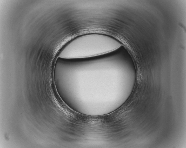X0000101410438200807071010