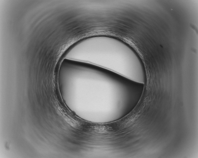 X0000101410439200807071010