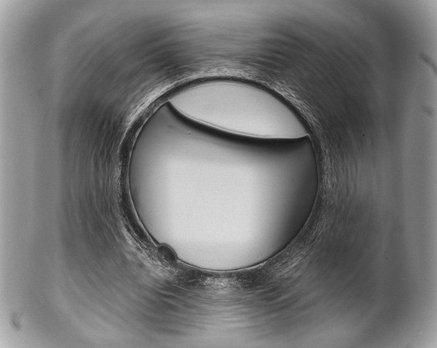 X0000101410440200807071010