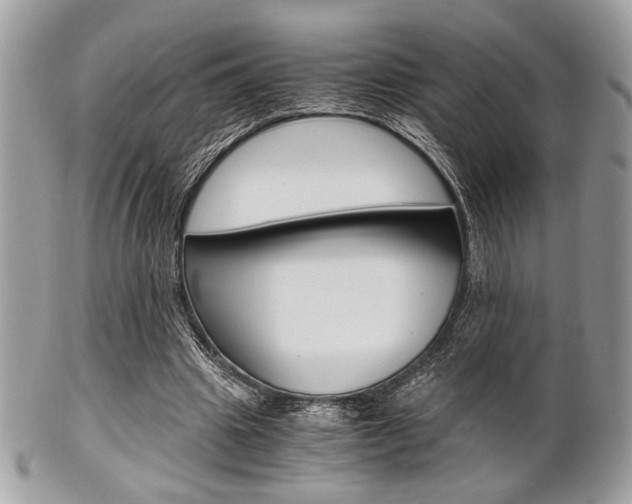 X0000101410441200807071010