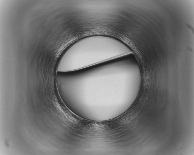 X0000101410442200807071010