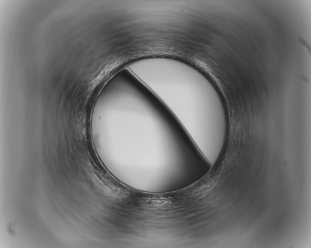 X0000101410443200807071010