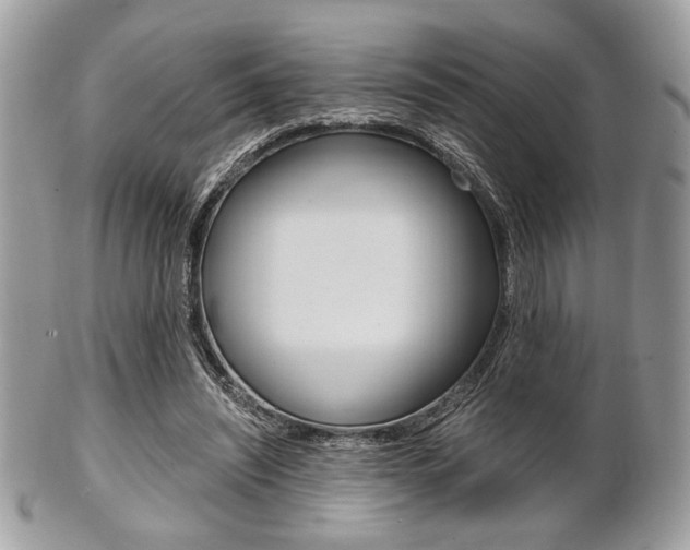 X0000101410444200807071010
