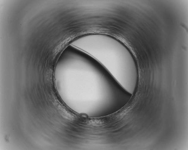 X0000101410445200807071010