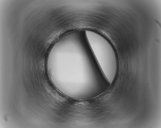 X0000101410447200807071010