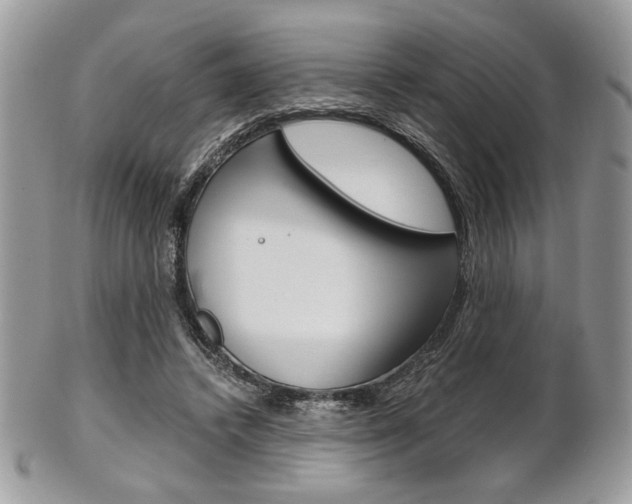 X0000101410448200807071010