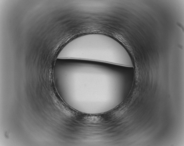X0000101410449200807071010