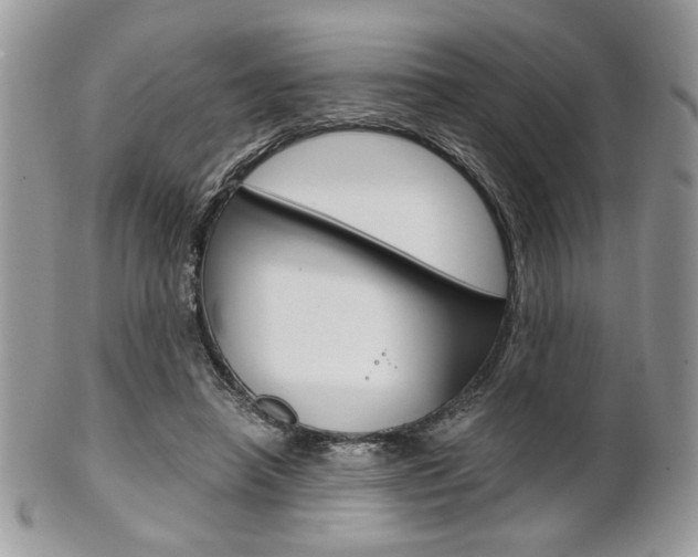 X0000101410450200807071010