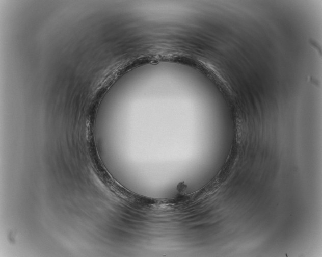 X0000101410451200807071010