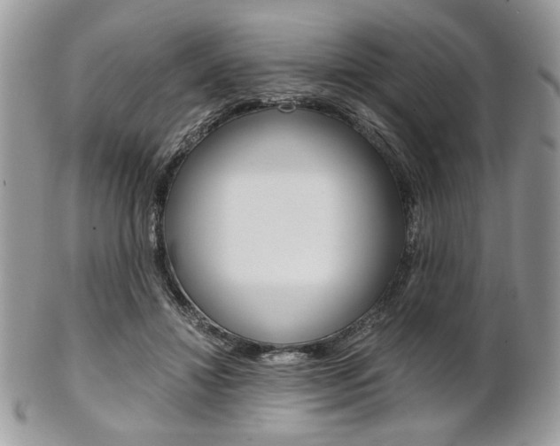 X0000101410452200807071010